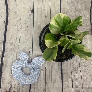 Blue and White Floral Print Bow Scrunchie
